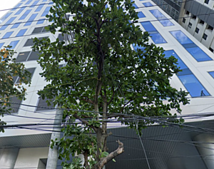 SDY is hiring on Meet.jobs!