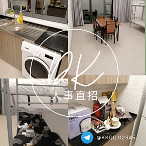 DK集团 is hiring on Meet.jobs!